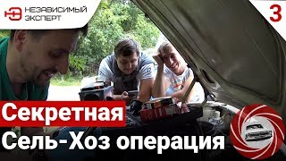 ОХОТА НА ВОЛГАРЬ! или 2000 км. Удовольствия - Эпизод 3.