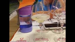 WSET 葡萄酒 Level 1 上課心得  》Taipei WSET Level One Class Review