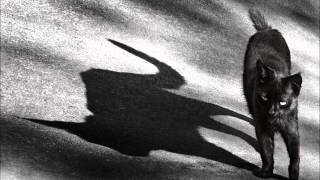 H. P. Lovecraft - The Cats Of Ulthar (audio book)
