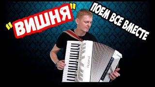 Песня Белоснежная Вишня  на аккордеоне / Поем все Вместе песни / Гармонист Баянист
