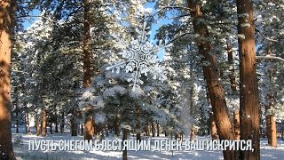 ЧУДЕСНОГО ЗИМНЕГО ДНЯ, ДРУЗЬЯ!