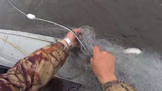 Рыбалка сетями на реке Печора. Ловля рыбы на крайнем севере. Fishing.