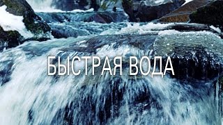 Пякин В.В. Кто на самом деле управляет Германией или странная забывчивость Урсулы фон дер Ляйен.