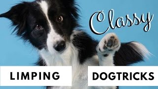 DogTrick - Limp on all 4 paws by Classy