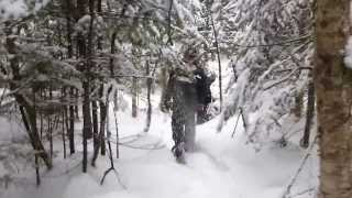 Kartvelebi Québec-shi(Canada)-18.01.2014