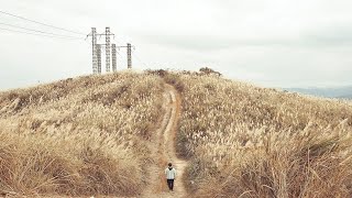 樹林熱門秋芒秘境三角埔頂山，好多情侶和外拍團體來這裡取景拍照