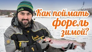 Рыбалка на форель зимой. Первый лед. Ловля на жерлицы и блесну.