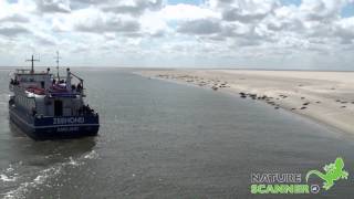 Vakantie op Ameland | Natuur, zeehonden en fietsen op Ameland