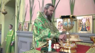 Престольный праздник в Троицком соборе возглавил архиепископ Евлогий, Сумы 31.05.2015