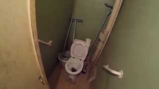 Гигантская крыса в унитазе. Giant rat in the toilet.