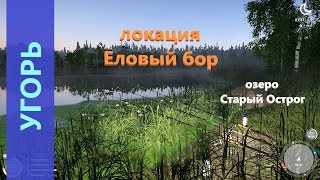 Русская рыбалка 4 - озеро Старый Острог - Угорь у брода