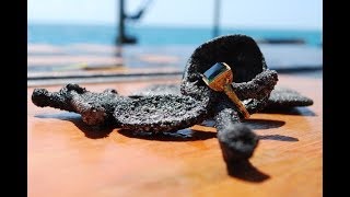 ДЕД ПОД КРОВАТЬЮ В СТАРОЙ КОРОБКЕ НАШЕЛ  ЗОЛОТОЙ РАРИТЕТ!