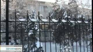 Как убивают бездомных животных