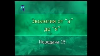 Экология. Передача 15. Биологические ритмы. Как определить время по растениям