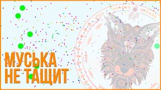 PetriDish.pw | Чашка Петри | Petri Dish | Agario | Agar.io | MegaSplit