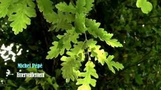 ♡Michel Pépé  - Emerveillement (amazing relaxing music) HD