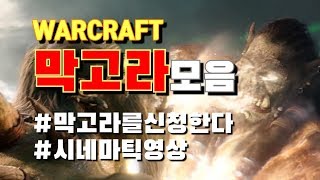 [워크래프트] 막고라 모음