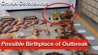 China Virus Wuhan Coronavirus: NEW Video of Wuhan Seafood Market possible birthplace of outbreak