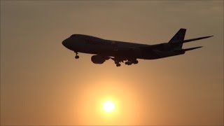 朝焼けの到着便❢ Thai B777 HS-TJS AEROMEXICO B787  FedEx B777  NCA B747  Rwy34L 成田空港ひこうきの丘　nrt hhh