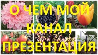 ПРЕЗЕНТАЦИЯ МОЕГО КАНАЛА