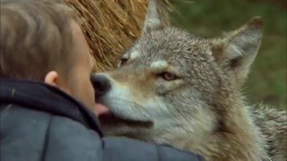 ФИЛЬМЫ ПРО ТАЙГУ ТОП-10