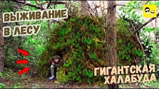 24 ЧАСА В ЛЕСУ ВЫЖИВАНИЕ - ДОМ В ЛЕСУ - DIY ПОД ЗЕМЛЕЙ
