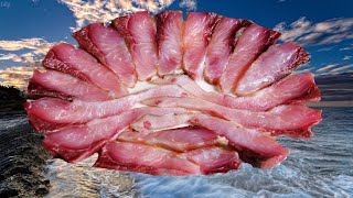 Балык из толстолобика.  Астраханский рецепт.