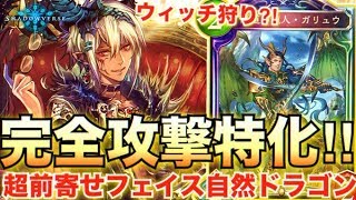 【謎実写】式神に対して超高勝率で勝てる自然ドラゴンが誕生？！ｗｗ超前寄せ自然ドラゴンが強い！【シャドウバース/シャドバ/shadowverse】