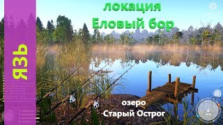 Русская рыбалка 4 - озеро Старый Острог - Язь у лагеря
