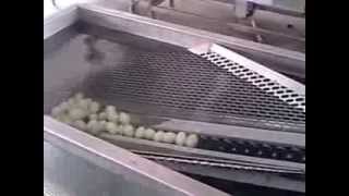 Egg Washing Machine/Egg Cleaning Machine