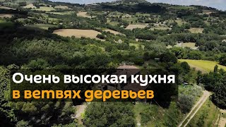 Высокая кухня: ресторан на деревьях