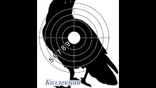 Хатсан 125 валем ворон