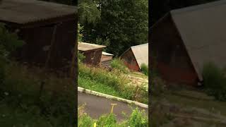 Издевательство над маленьким щенком девочкой! Не будте равнодушными, скидывайте такие видео