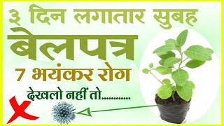 ३ दिन लगातार सुबह खाली पेट बेलपत्र खाने से खत्म होते है यह 7 रोग || जल्दी देखो