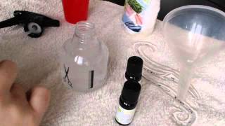 DIY 100% naturel : un sent bon aux agrumes pour la maison et la voiture | Naomie Test