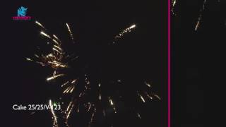 Heron Fireworks - 25/25/V-123 - Vuurwerk - Silvester Feuerwerk