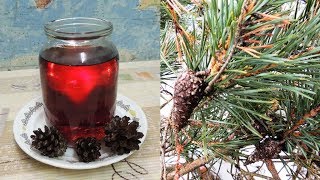 Инсульт: живица и танины. "Компотик" из зрелых сосновых ? шишек (stroke).
