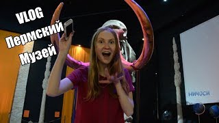 VLOG Музей пермских древностей