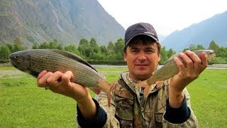 Рыбалка на Сумульте 2010