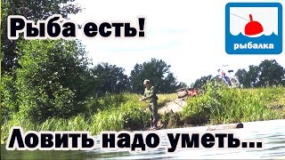 Ловля карася на матчевую удочку, отчёт о рыбалке в июле