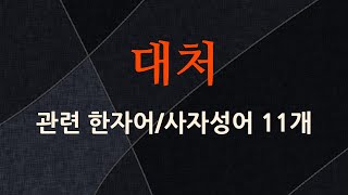 대처에 관한 한자어/사자성어 11개