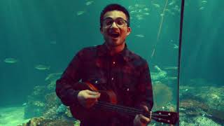 Baby Shark (Ukulele Cover) - Pinkfong - Play Along