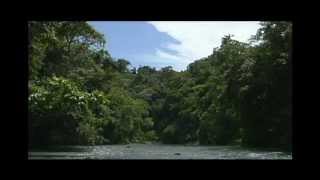 Costa Rica - Sights and Sounds of Corcovado National Park