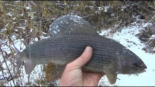 Огонь рыбалка / Таежная рыбалка / Рыбалка на поплавок / Хариус / Мушки и снасть