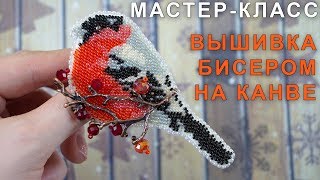 Брошь СНЕГИРЬ на канве из бисера / Мастер-класс