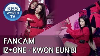 [FOCUSED]IZ*ONE's KWON EUN BI - La Vie en Rose [Music Bank / 2018.11.02]