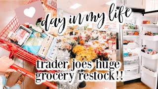 A DAY IN MY LIFE | getting back into a healthy routine after vacay & huge trader joes grocery haul!