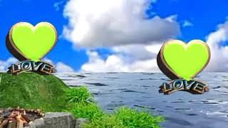 Green screen background flower animation effects wedding video (39) Shaadi video frame tech vfx
