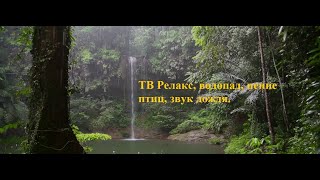 ТВ релакс,  водопад, пение птиц, звук дождя. TV Relax video Full HD.