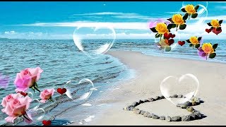 Good Morning Video